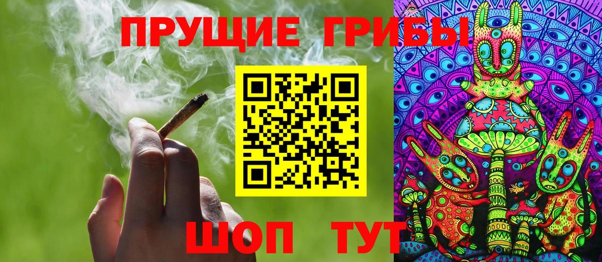 Псилоцибиновые грибы мицелий Изобильный